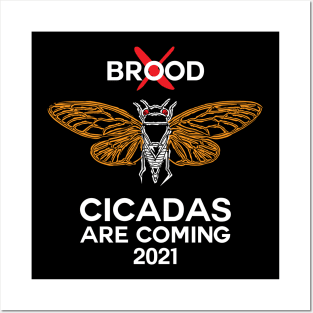 Brood X Cicadas are coming 2021 Posters and Art